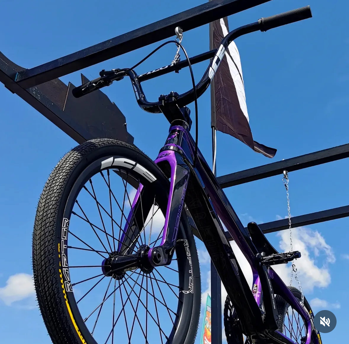 Special Edition Raptor Complete Bike Pro XL