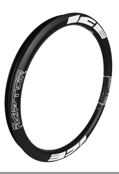 Circle ICE RAPTOR Carbon 20 x 1.75' Tubeless Ready 36 holes (ERD 375mm)