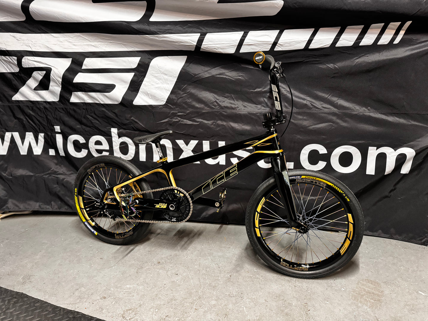 Custom paint Raptor Complete Bike Pro XL