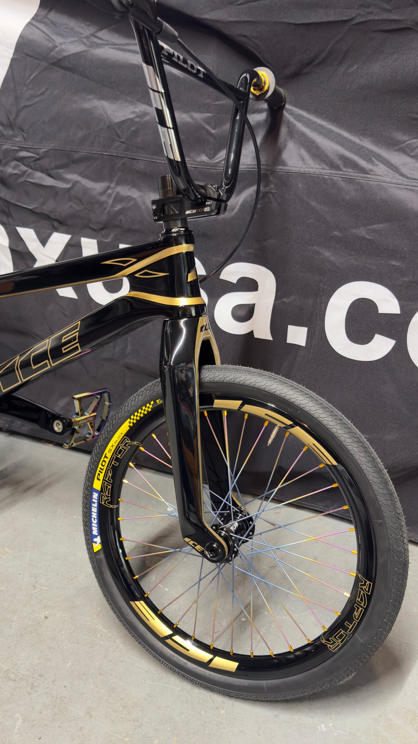 Custom paint Raptor Complete Bike Pro XL