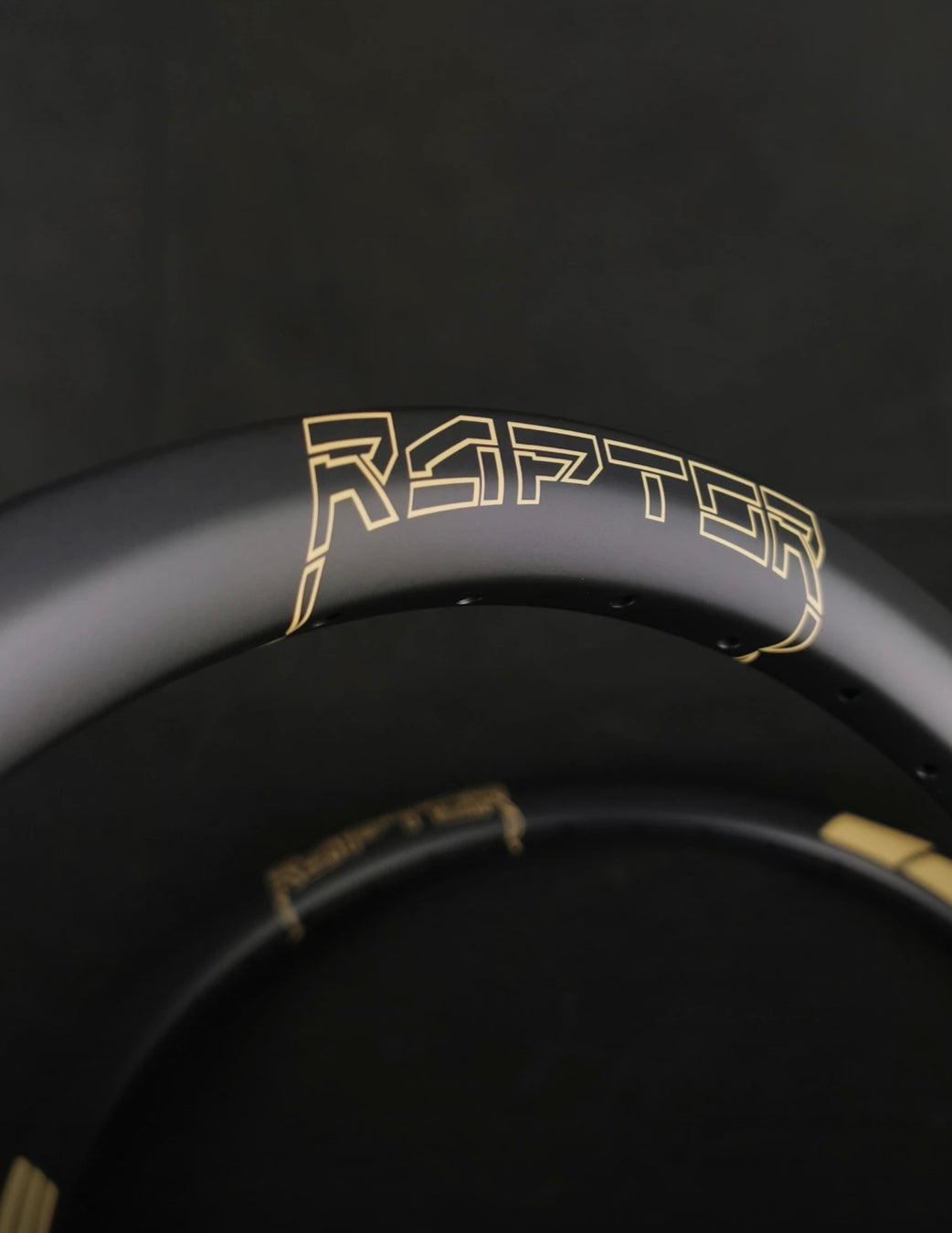 ICE RAPTOR CARBON RIM SAND