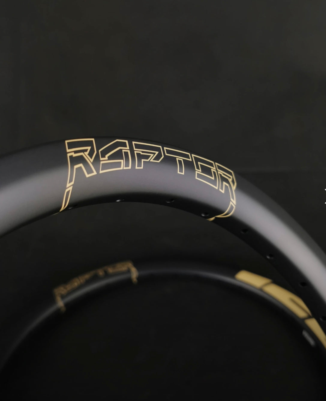 ICE RAPTOR CARBON RIM SAND