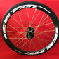 ICE CARBON WHEEL SET DISC REAR HUB